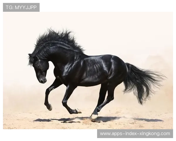 低价潜力股成转会黑马,投资回报空间极大