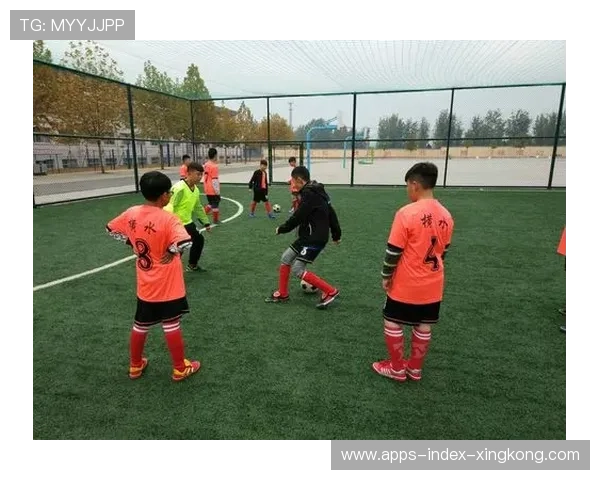 国王训练观察：外线拉扯后的二次进攻被验证有效