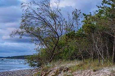 76人季后赛目标明确，恩比德力争MVP，76人21号恩比德