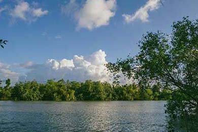 Aster训练营全力备战，aster队伍