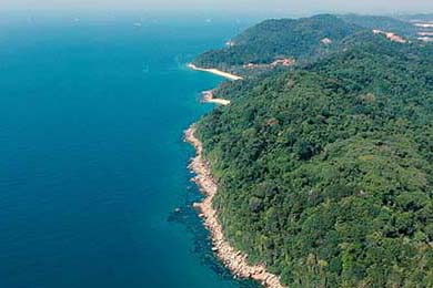 2024“中杉杯”第八届世界奥赛之夜中国区北京站健身健美大赛成功举办